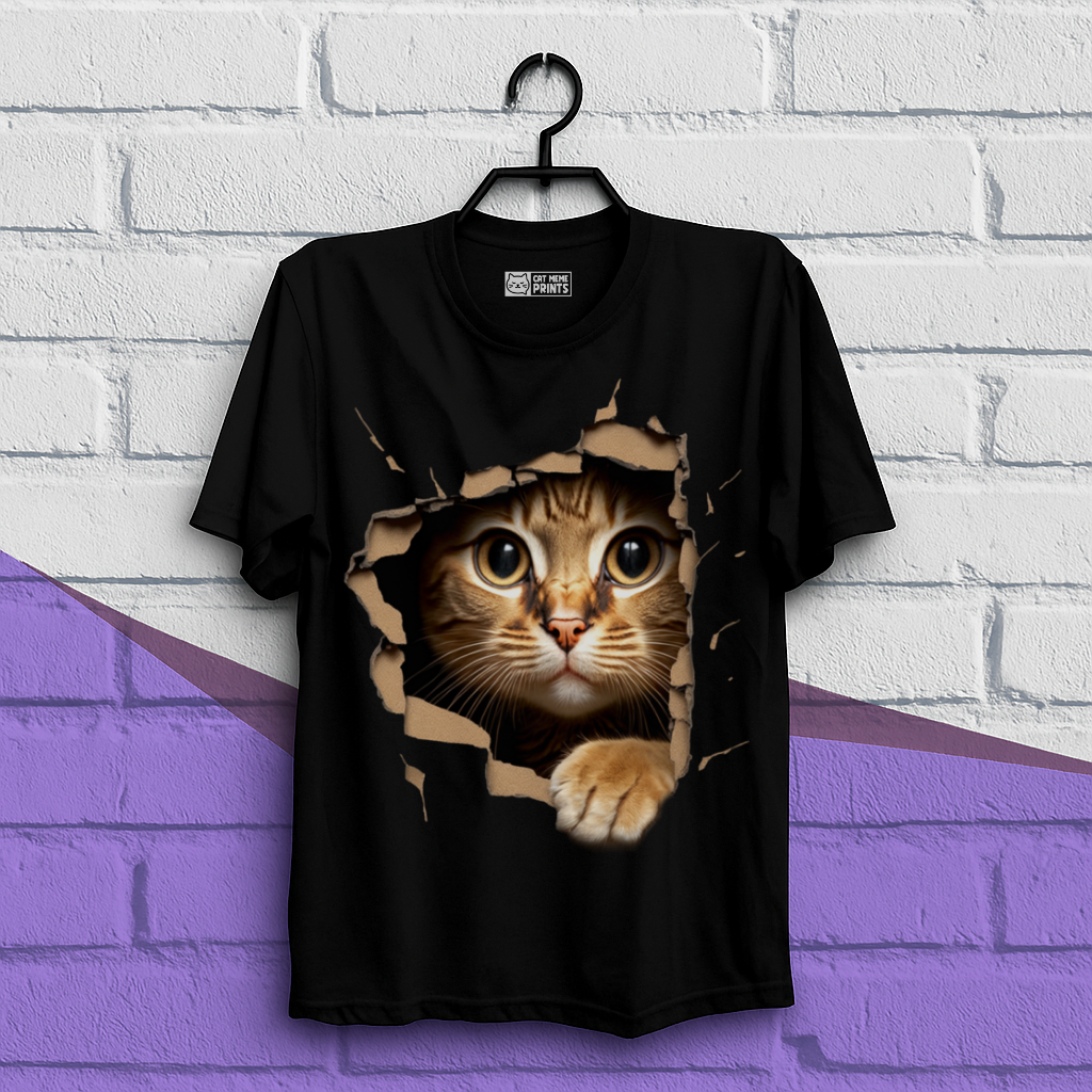 Cute Cat Looks From Torn Fabric T-Shirt