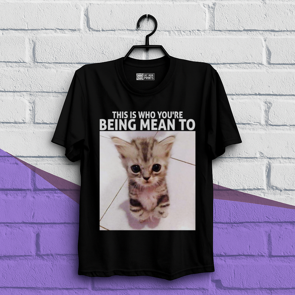 This Is Who You're Being Mean To T-Shirt