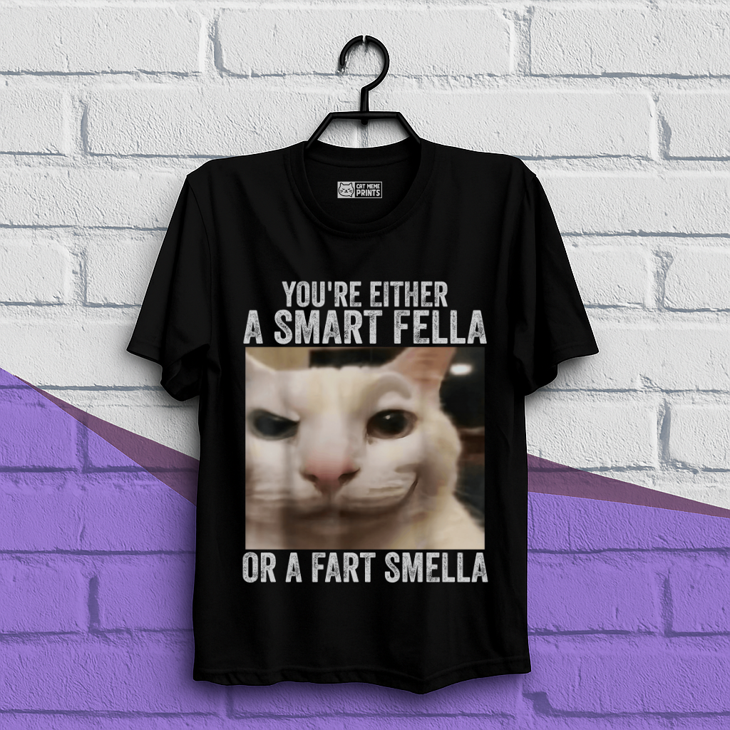 You're Either a Smart Fella or a Fart Smella T-Shirt