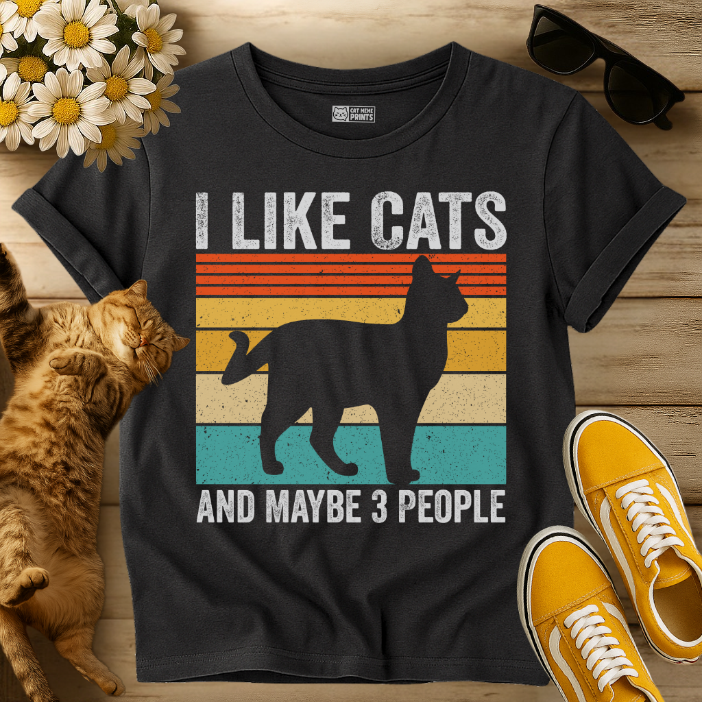 I Like Cats and Maybe 3 People T-Shirt
