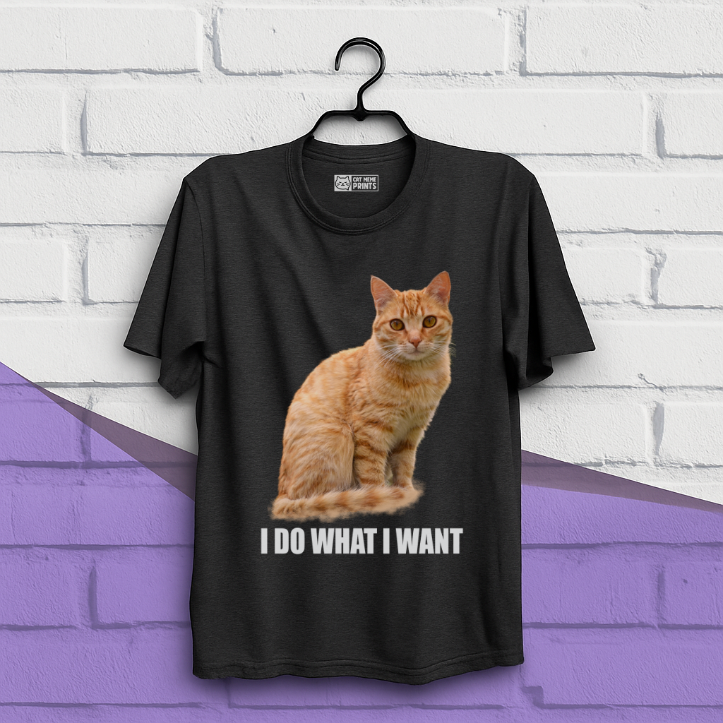 I Do What I Want T-Shirt
