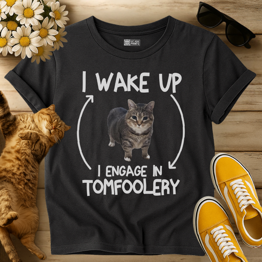 I Wake Up I Engage In Tomfoolery T-Shirt