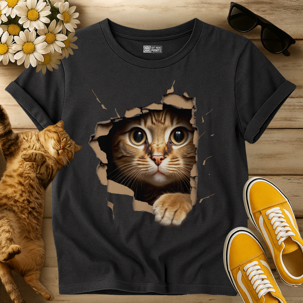 Cute Cat Looks From Torn Fabric T-Shirt