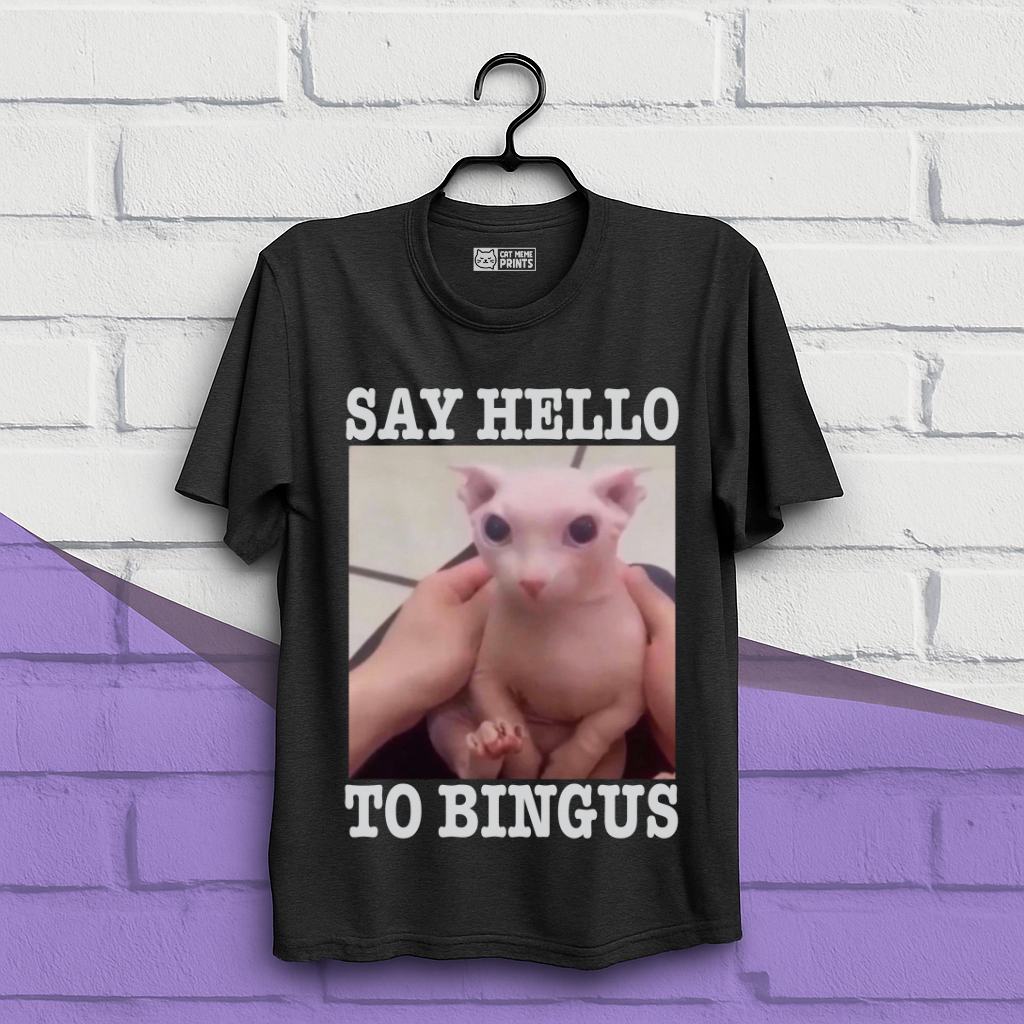 Say Hello To Bingus T-Shirt