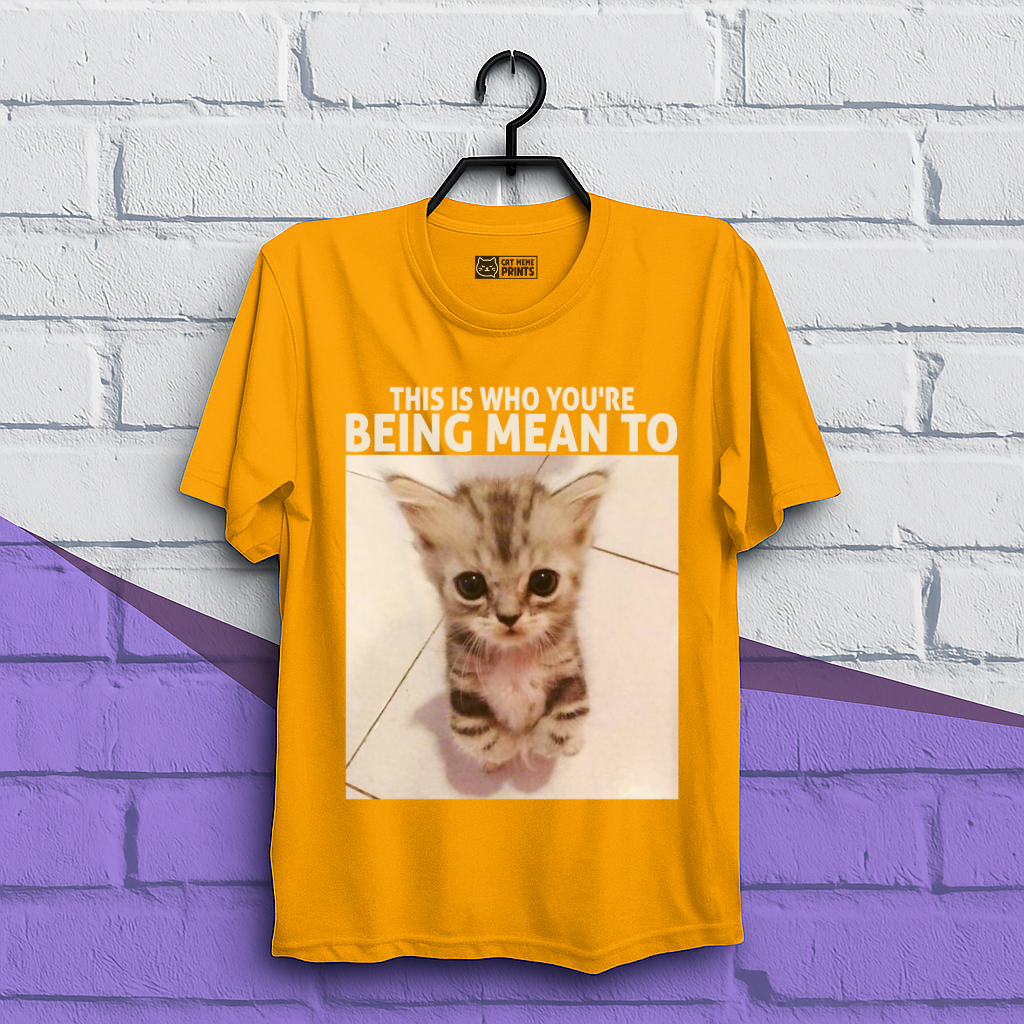 This Is Who You're Being Mean To T-Shirt