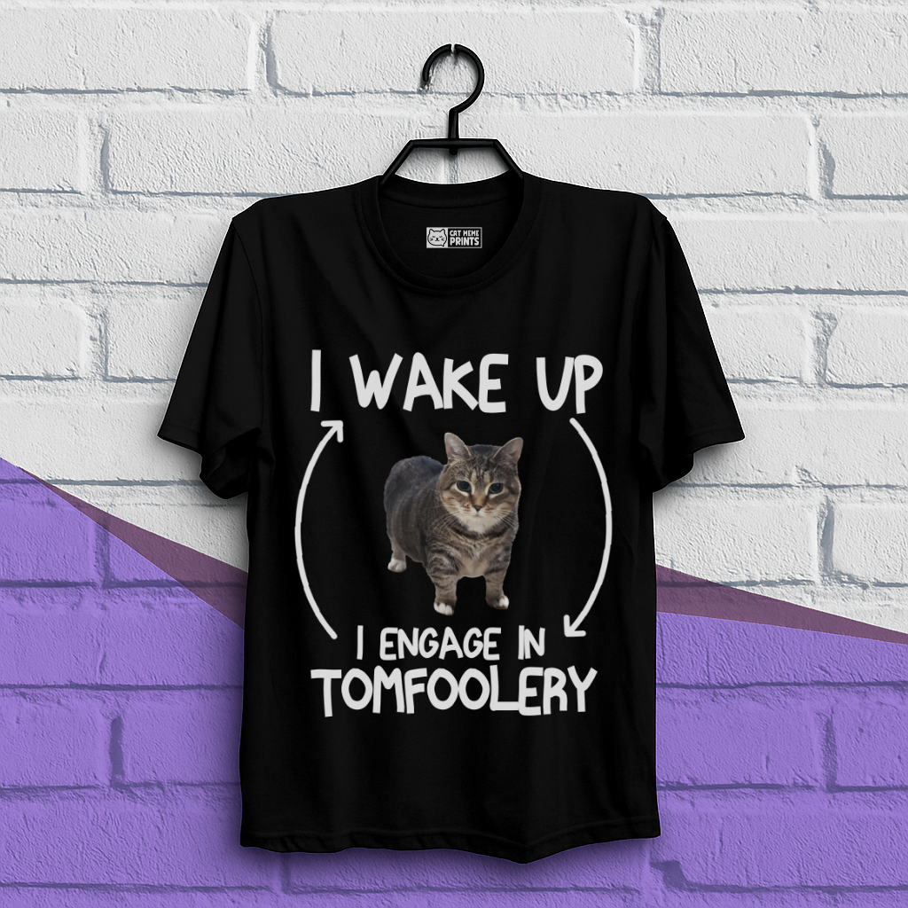 I Wake Up I Engage In Tomfoolery T-Shirt
