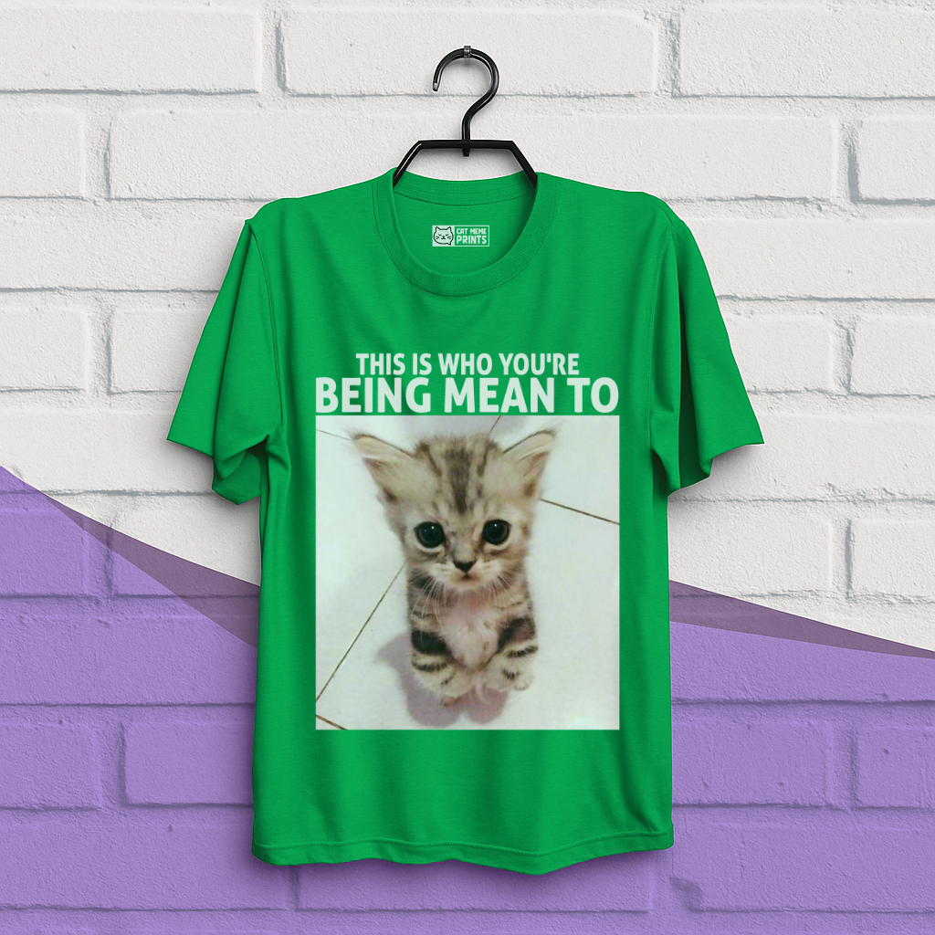 This Is Who You're Being Mean To T-Shirt
