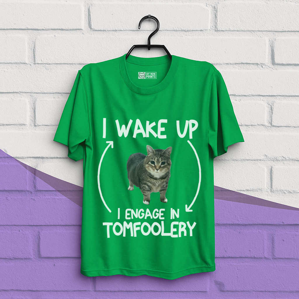 I Wake Up I Engage In Tomfoolery T-Shirt