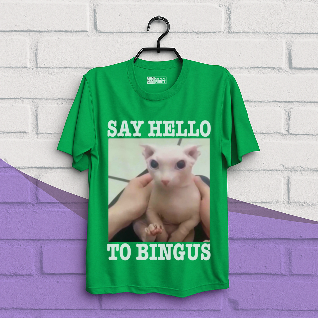 Say Hello To Bingus T-Shirt