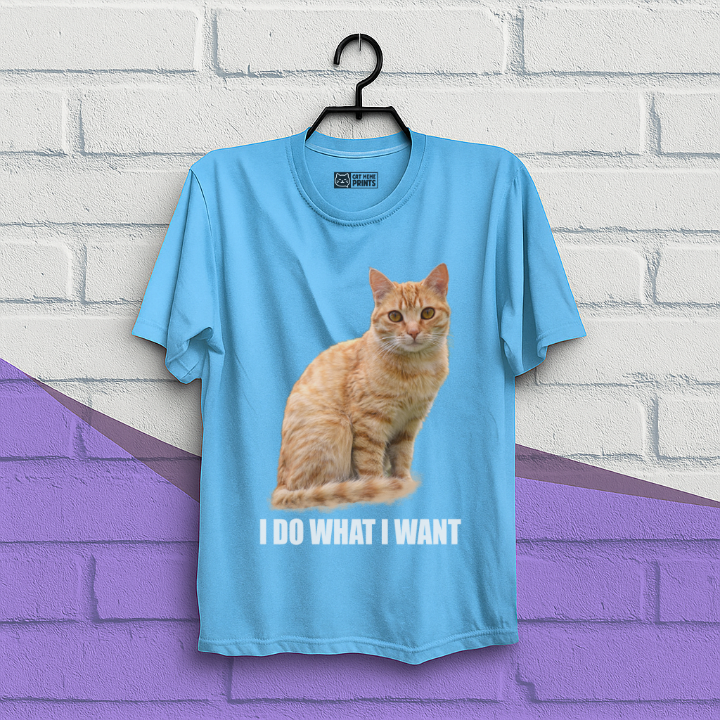 I Do What I Want T-Shirt