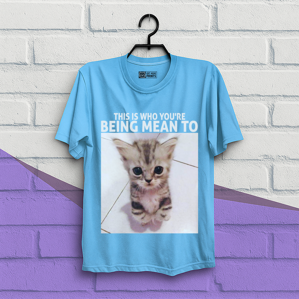 This Is Who You're Being Mean To T-Shirt