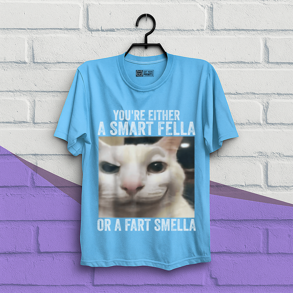 You're Either a Smart Fella or a Fart Smella T-Shirt