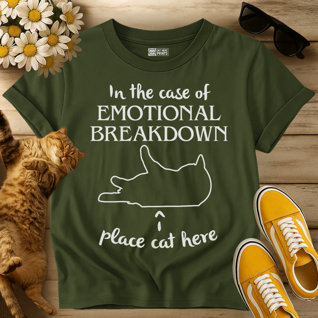Place Cat Here T-Shirt