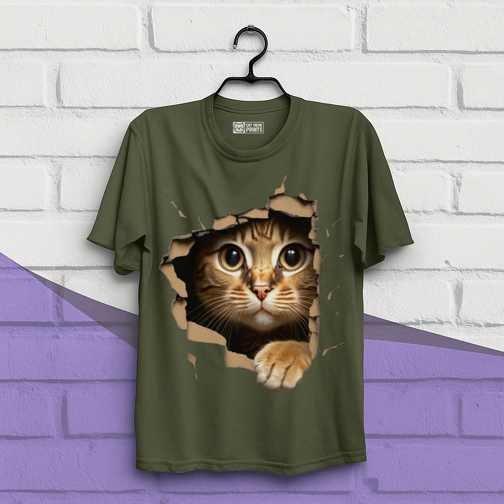 Cute Cat Looks From Torn Fabric T-Shirt
