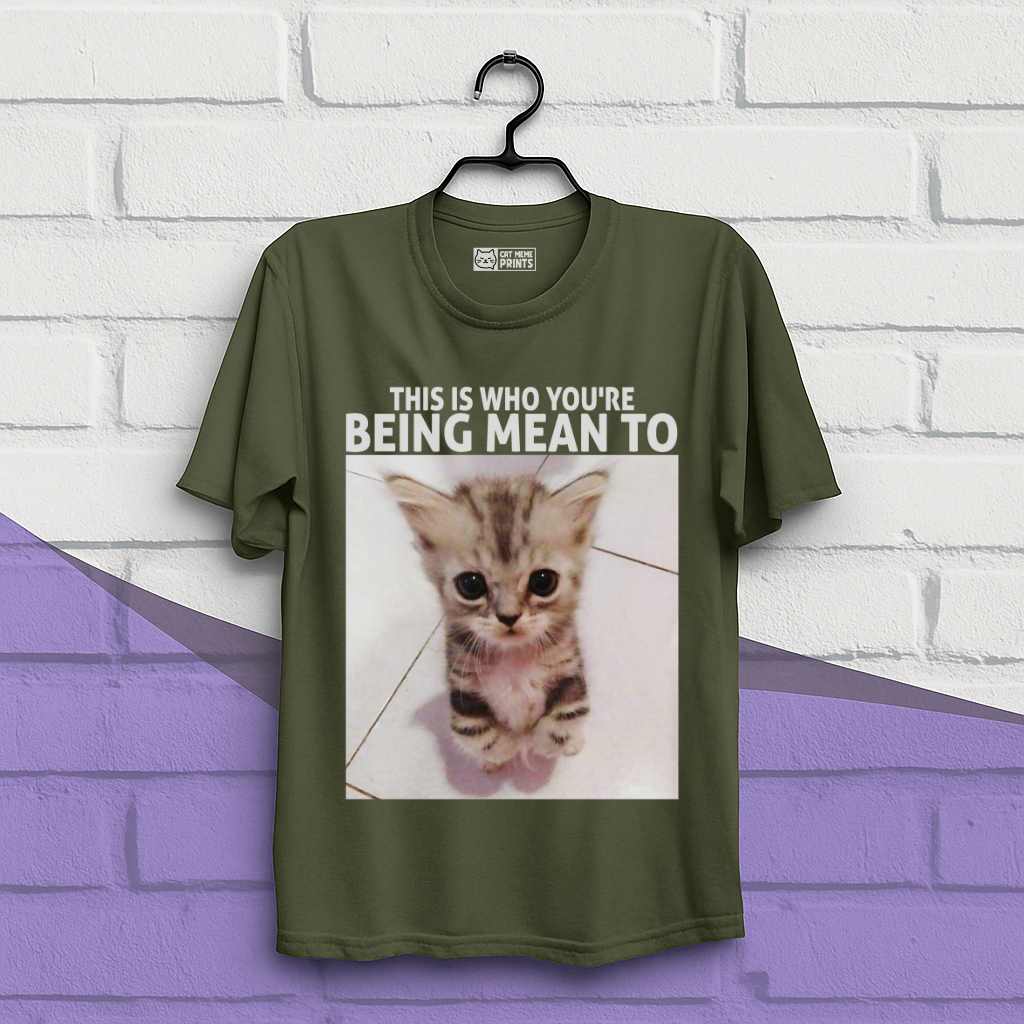 This Is Who You're Being Mean To T-Shirt
