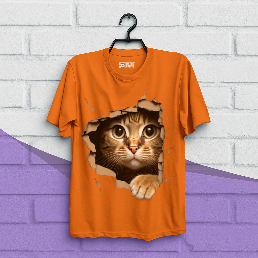Cute Cat Looks From Torn Fabric T-Shirt