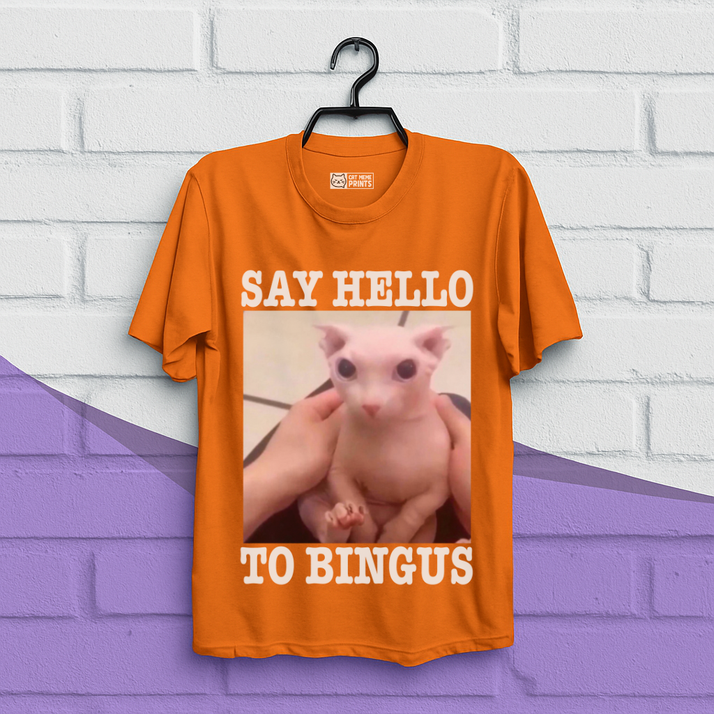 Say Hello To Bingus T-Shirt