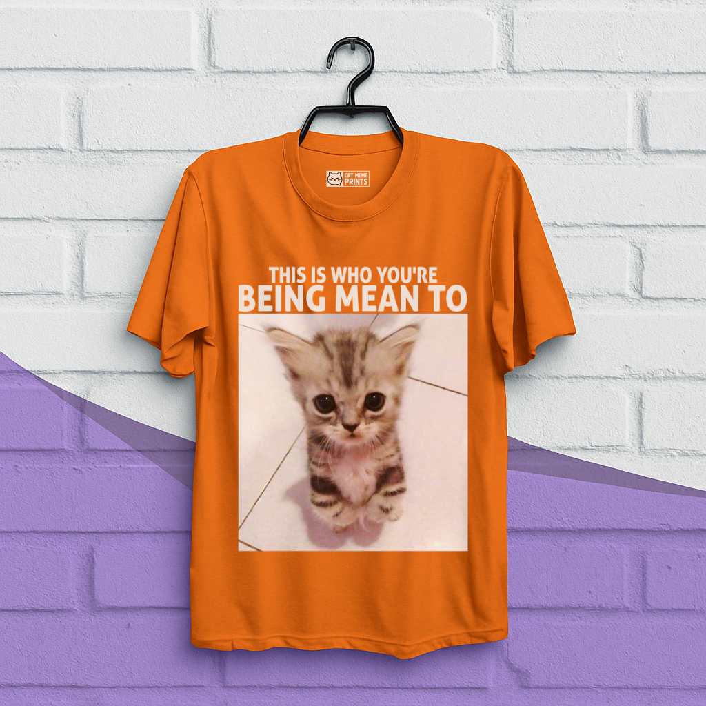 This Is Who You're Being Mean To T-Shirt