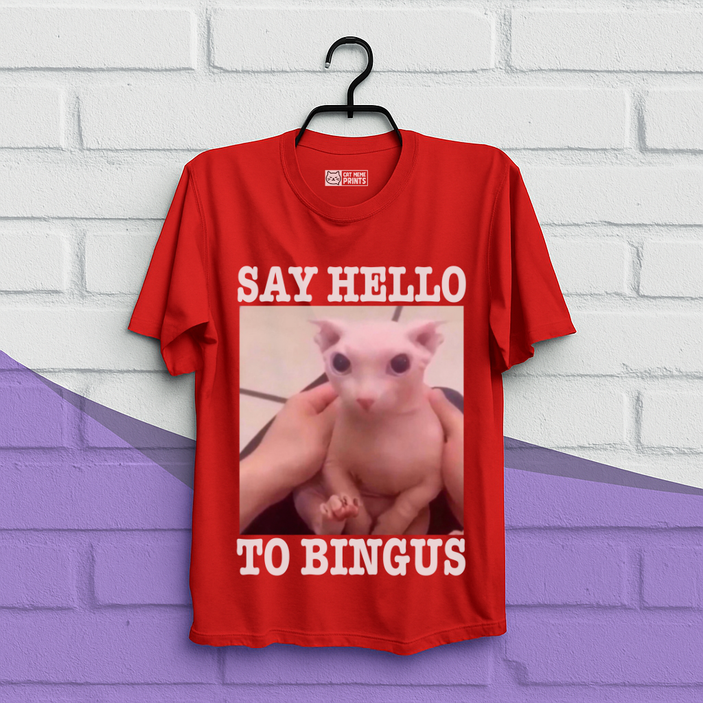 Say Hello To Bingus T-Shirt