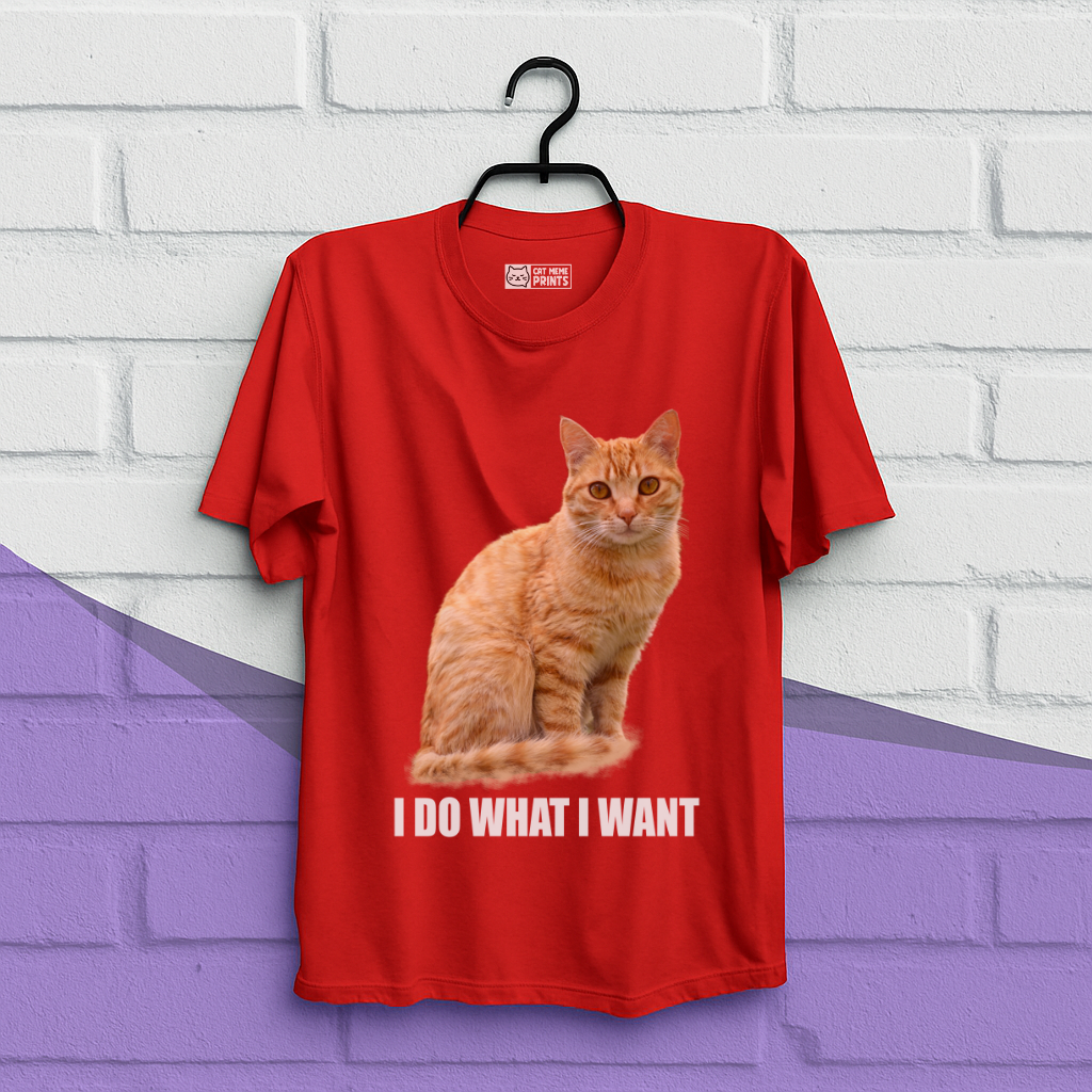 I Do What I Want T-Shirt
