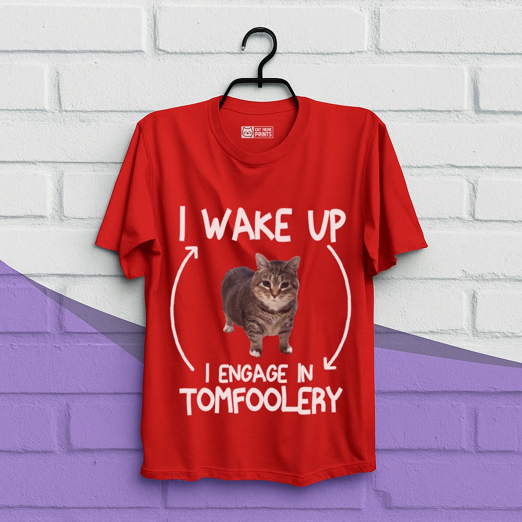 I Wake Up I Engage In Tomfoolery T-Shirt