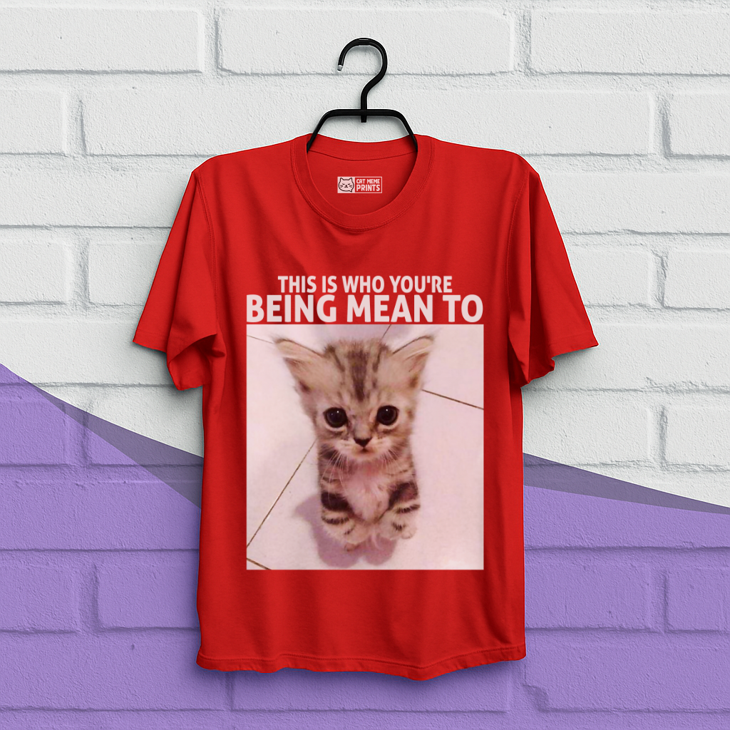 This Is Who You're Being Mean To T-Shirt