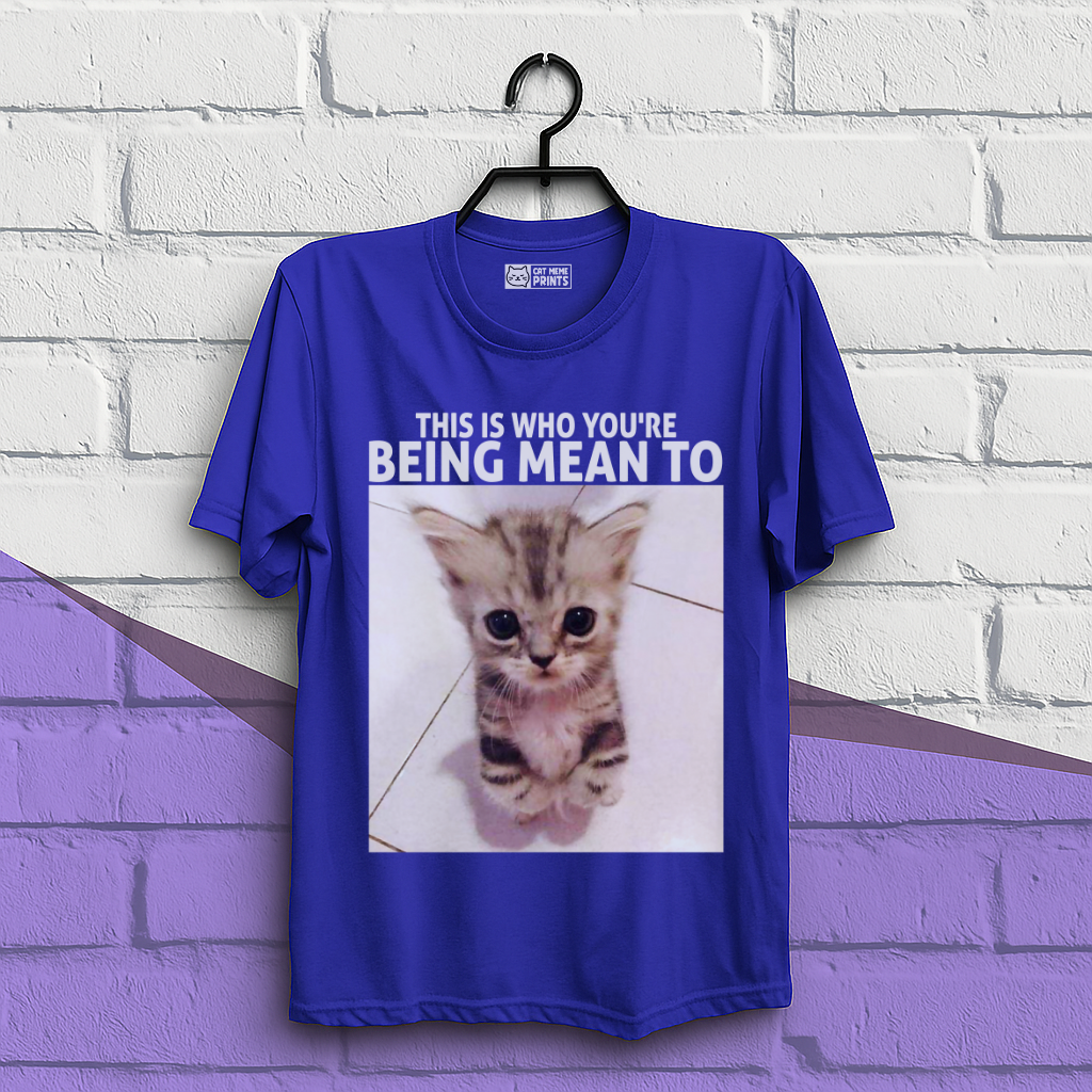 This Is Who You're Being Mean To T-Shirt
