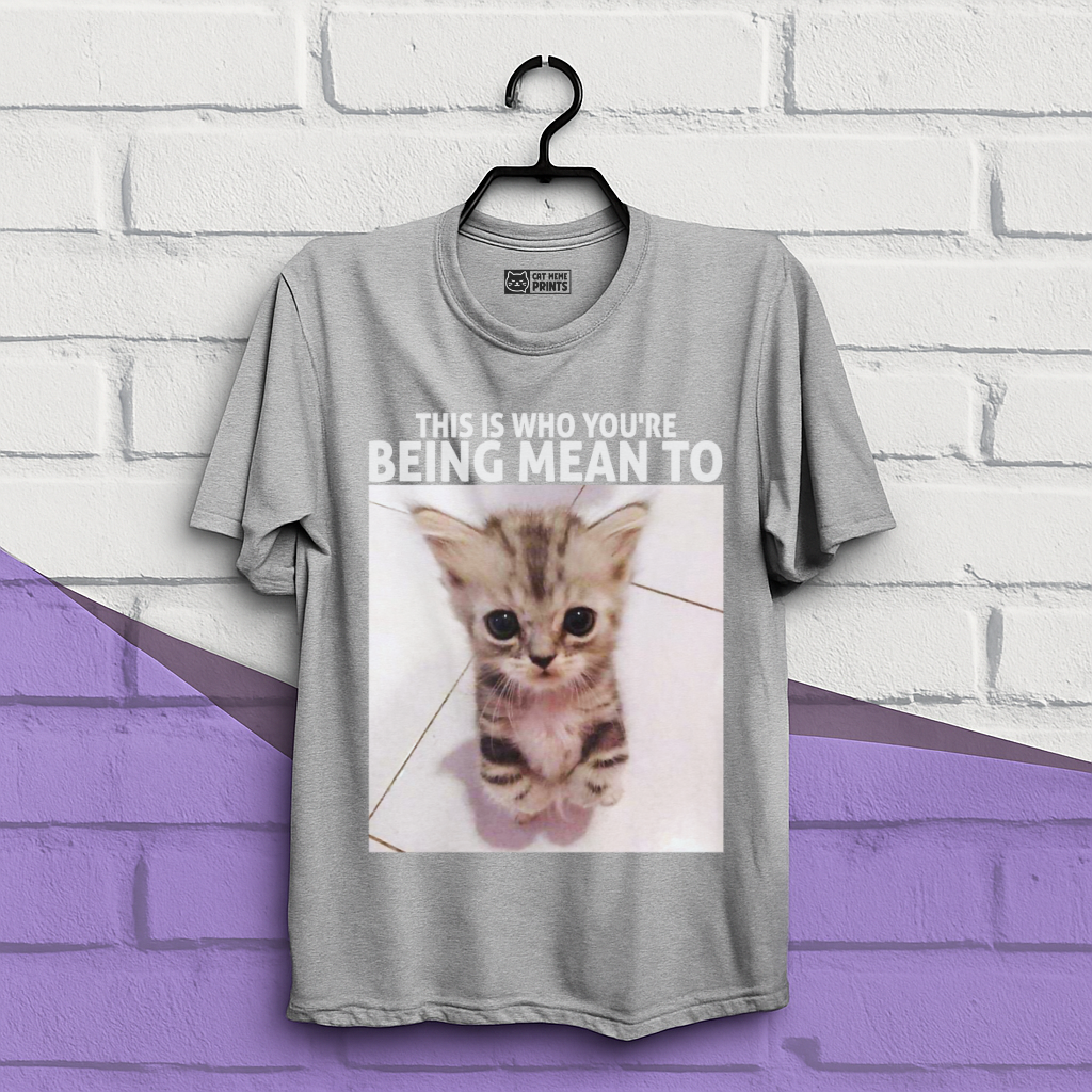 This Is Who You're Being Mean To T-Shirt