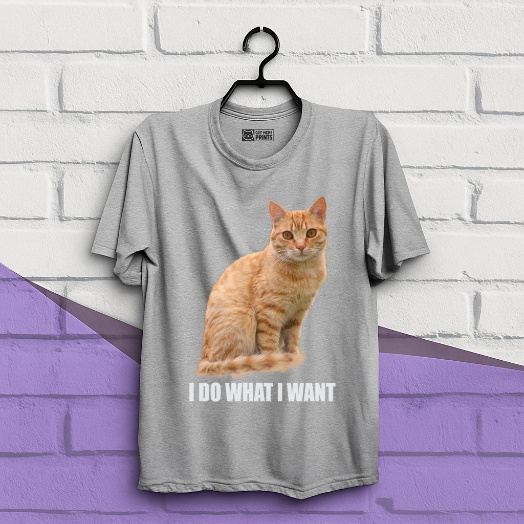 I Do What I Want T-Shirt