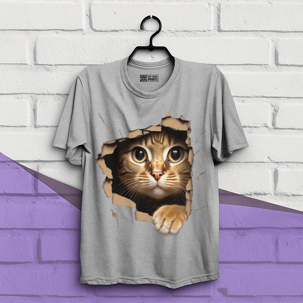 Cute Cat Looks From Torn Fabric T-Shirt