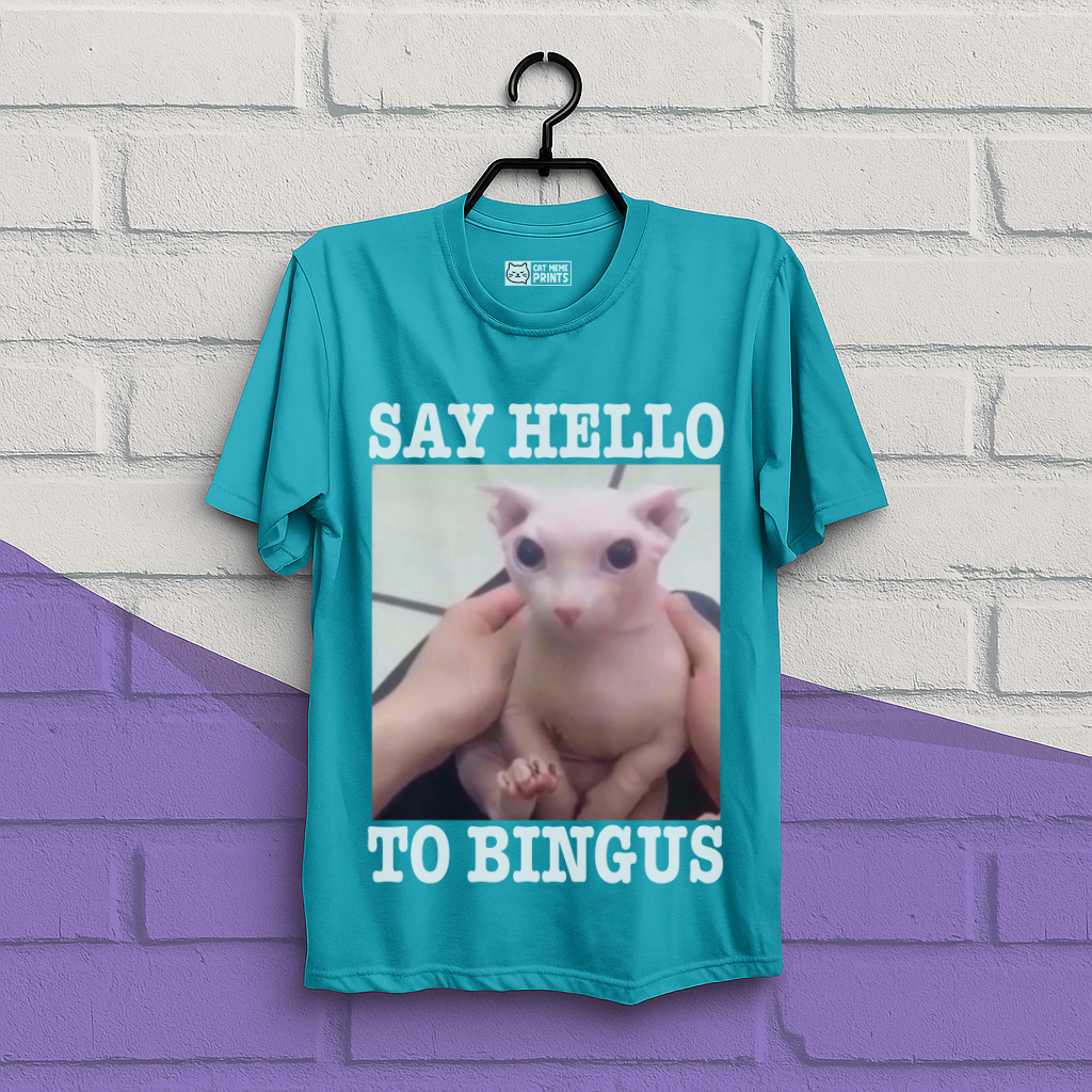 Say Hello To Bingus T-Shirt