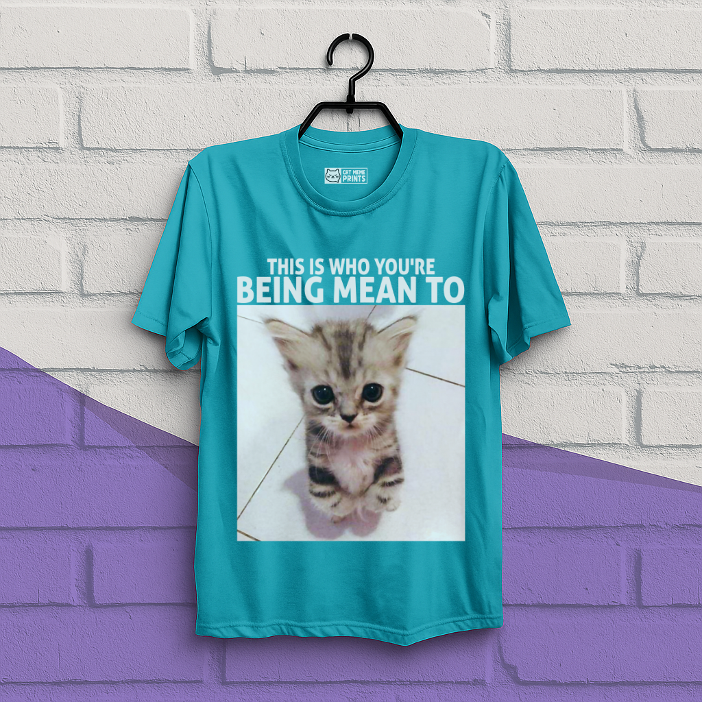 This Is Who You're Being Mean To T-Shirt
