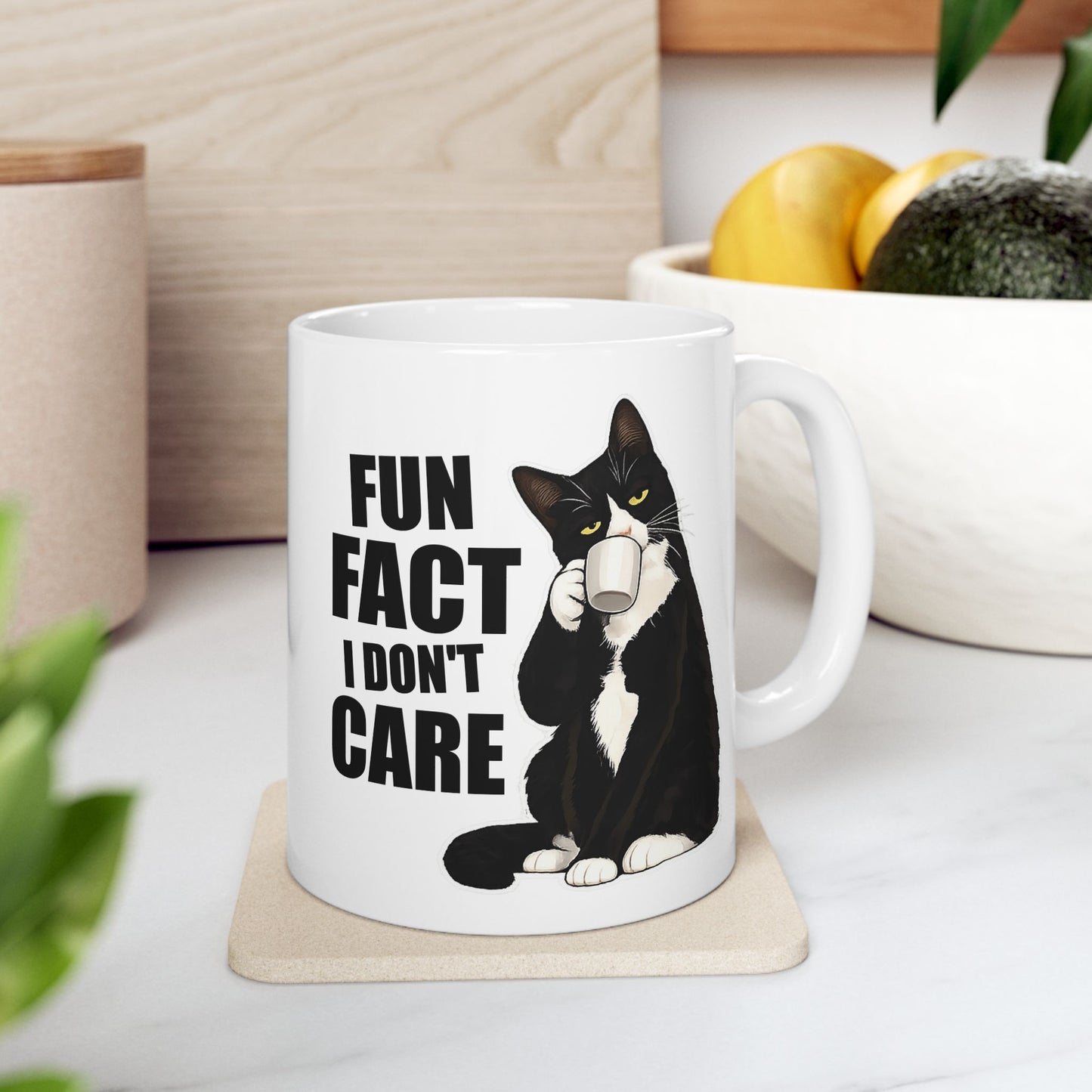 Fun Fact I Don't Care Mug