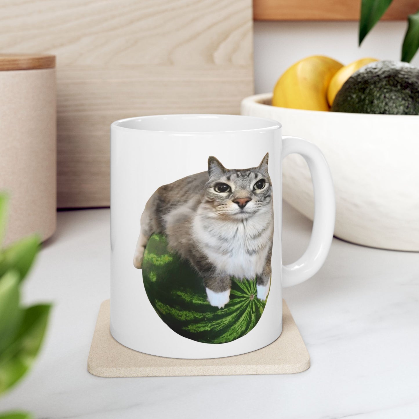 Watermelon Cat Meme Mug