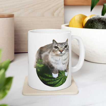 Watermelon Cat Meme Mug