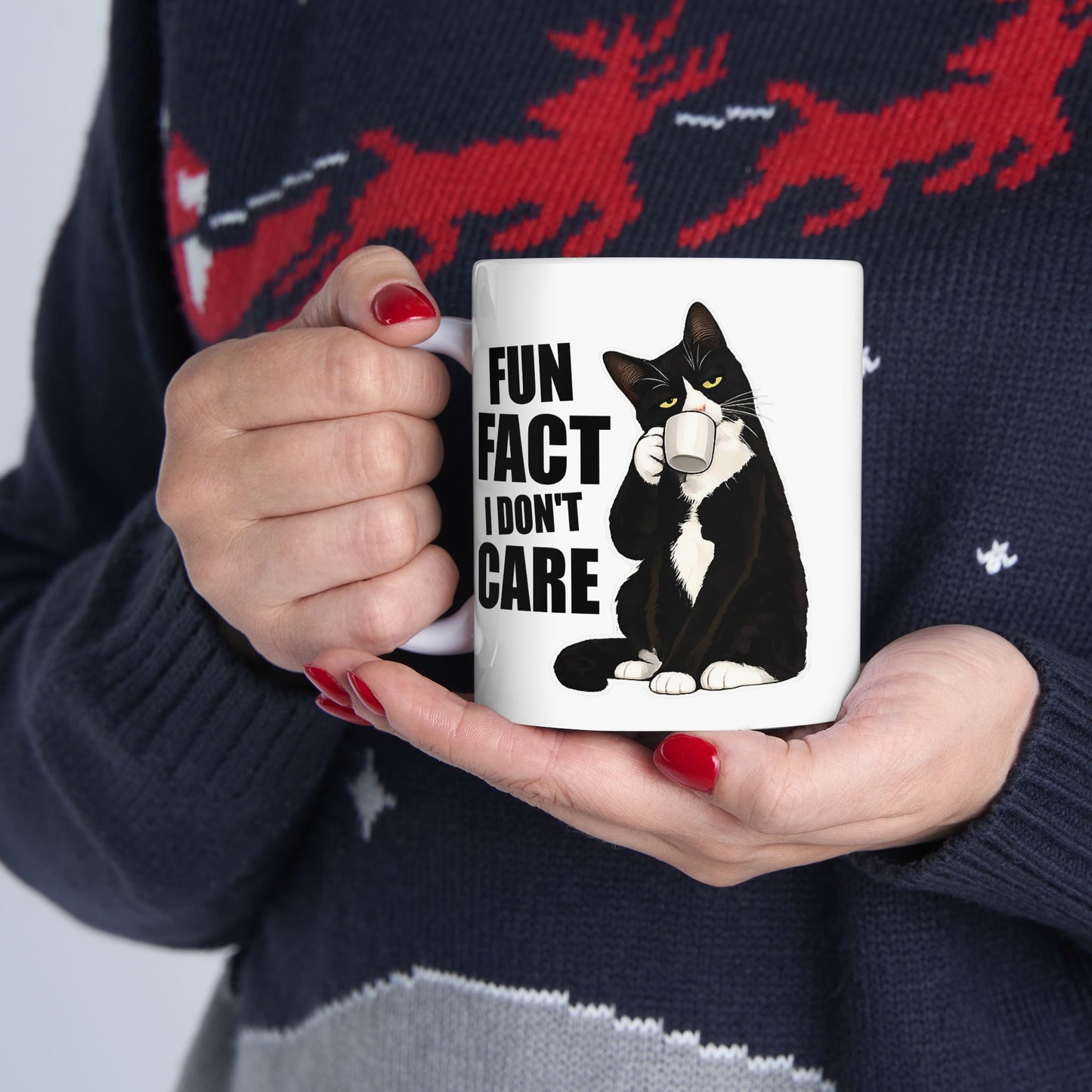 Fun Fact I Don't Care Mug