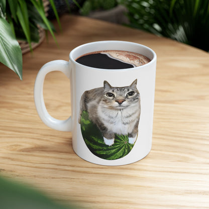 Watermelon Cat Meme Mug