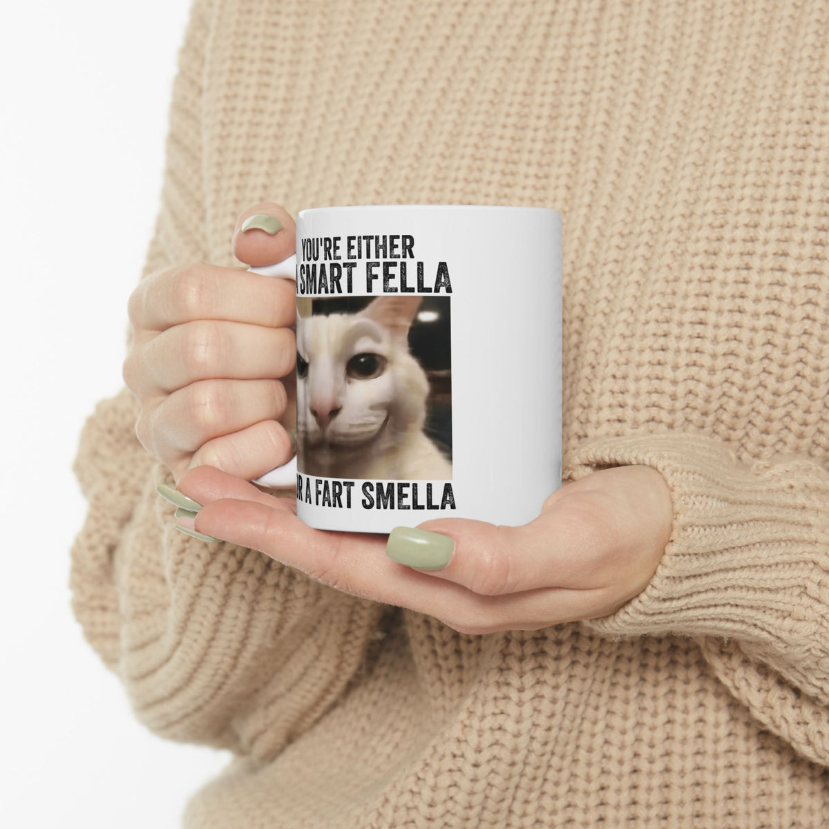 You're Either a Smart Fella or a Fart Smella Mug