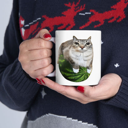 Watermelon Cat Meme Mug