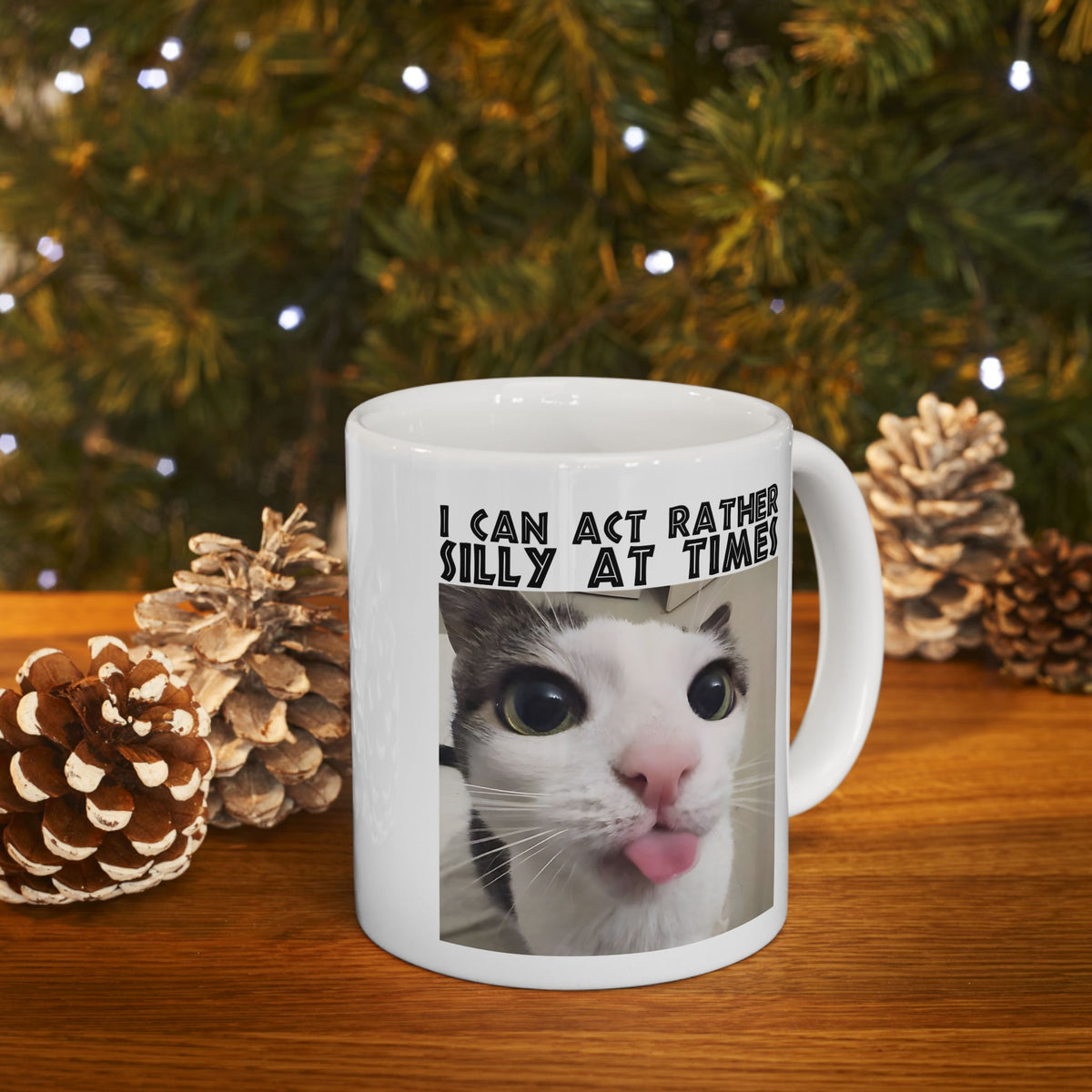 I Can Act Rather Silly At Times Mug