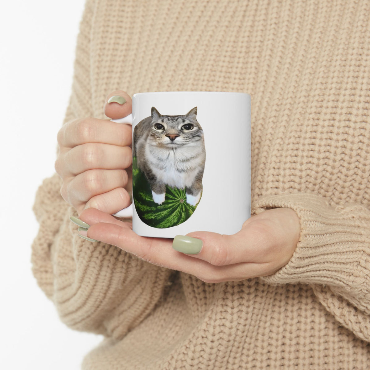 Watermelon Cat Meme Mug