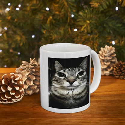 Silly Cat Meme Mug
