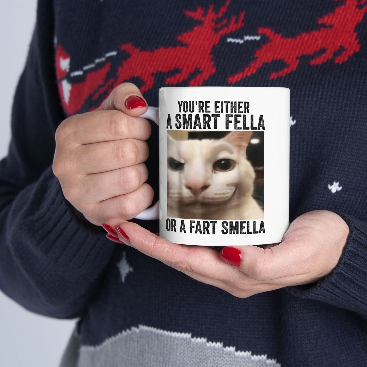You're Either a Smart Fella or a Fart Smella Mug