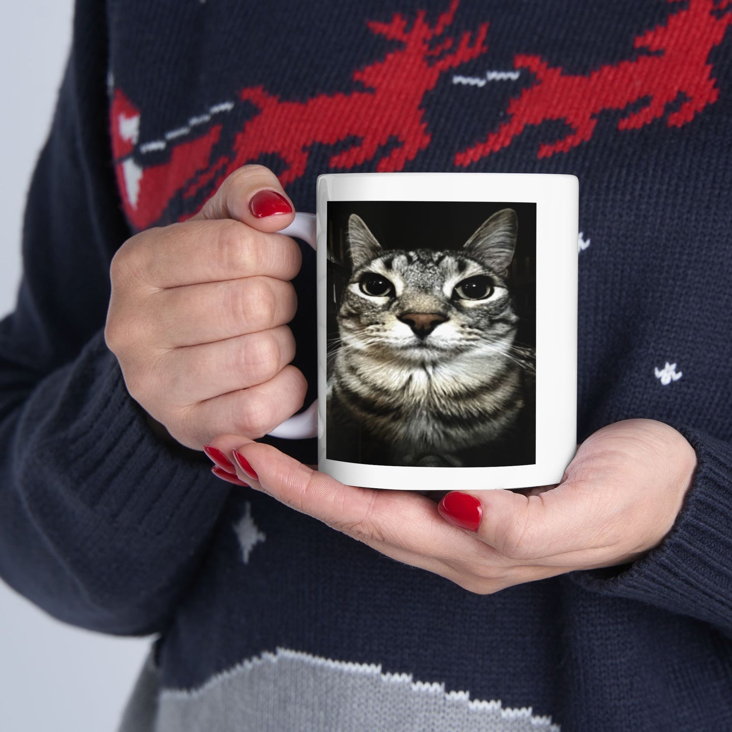 Silly Cat Meme Mug