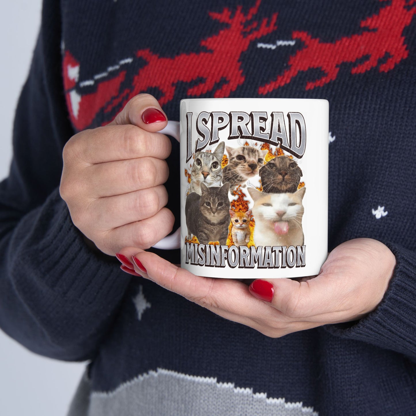 I Spread Misinformation Mug