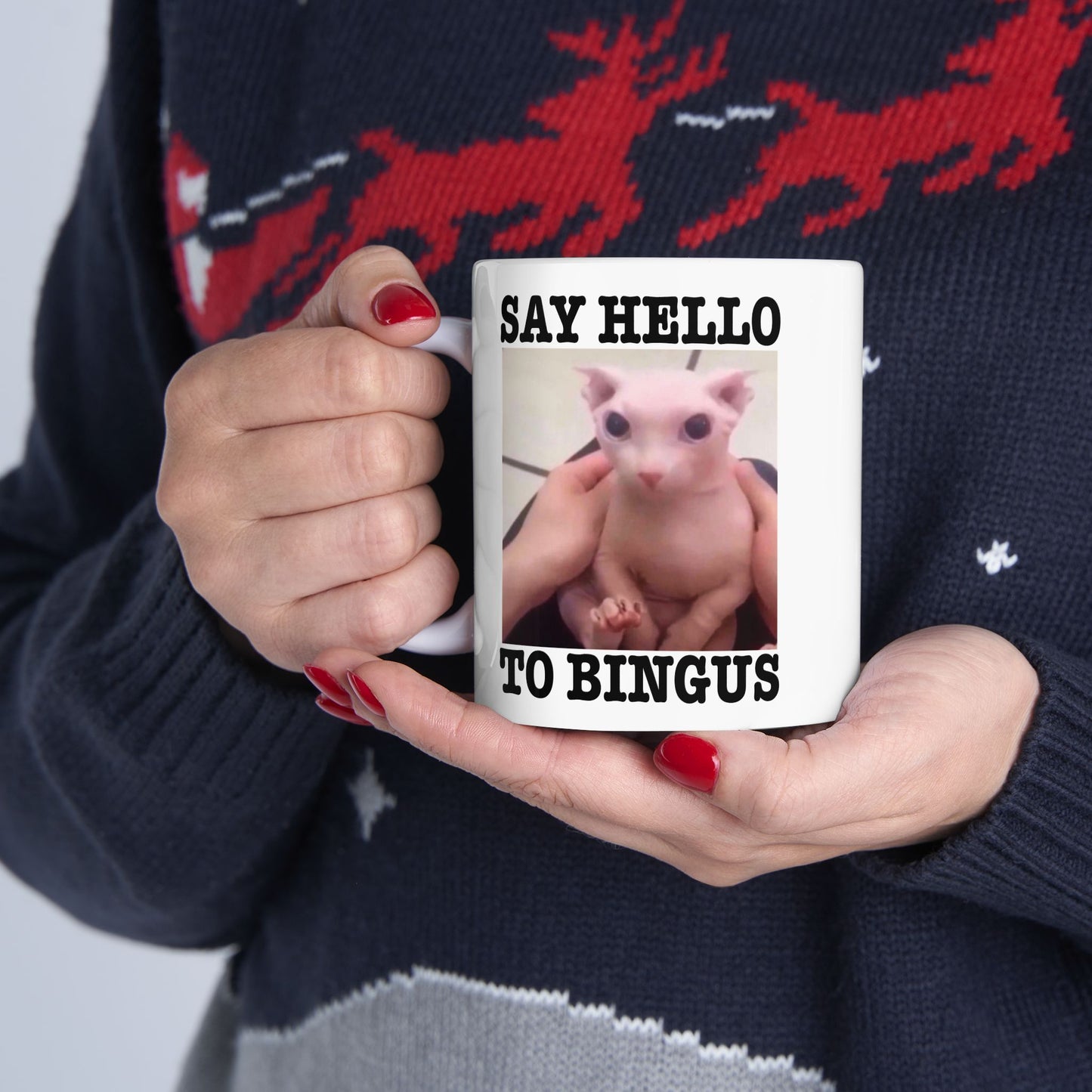 Say Hello To Bingus Mug