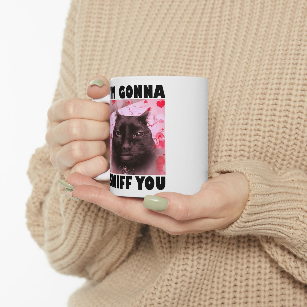 I'm Gonna Sniff You Mug