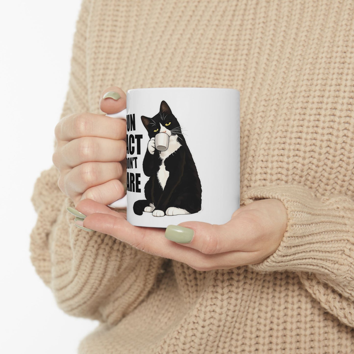 Fun Fact I Don't Care Mug