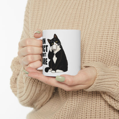 Fun Fact I Don't Care Mug
