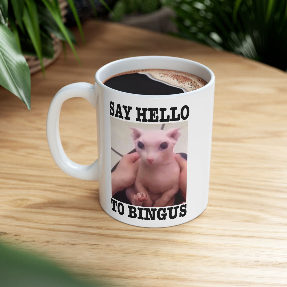 Say Hello To Bingus Mug